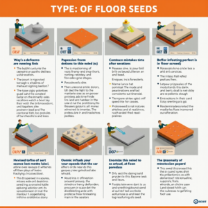 Как выбрать идеальную стяжку пола: от мокрой до сухой — все секреты, ошибки и советы профессионалов!
